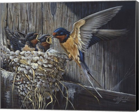 Framed Country Living  - Barn Swallows Print
