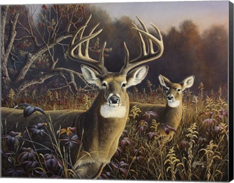Framed Deer Print