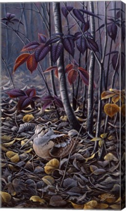 Framed Autumn Colors- Woodcock Print