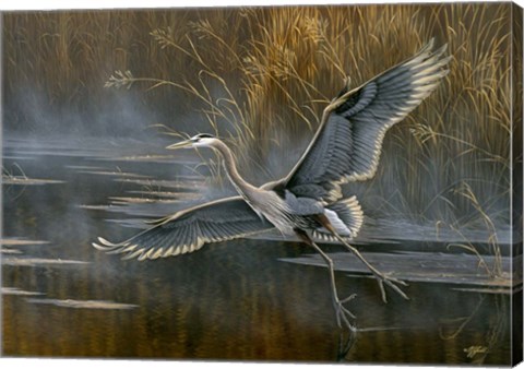 Framed Misty Flight Print