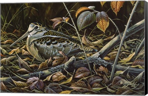 Framed Migration Stop  - Woodcock Print