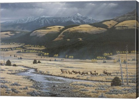 Framed Big Valley Elk Print