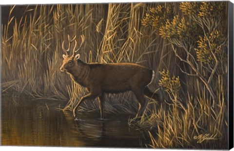 Framed Evening Rounds Sika Deer Print