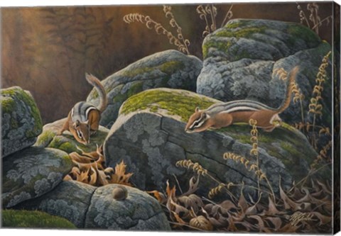 Framed Eye On The Prize Print