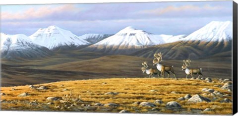 Framed Time Passages Mountain Caribou Print