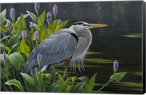 Framed Biding Time Great Blue Heron Print