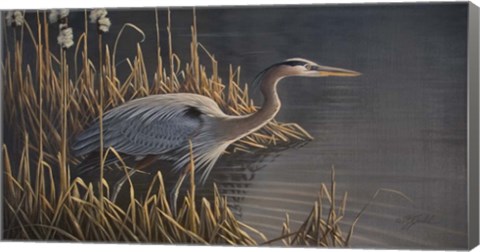 Framed Stalking The Edge - Heron Print