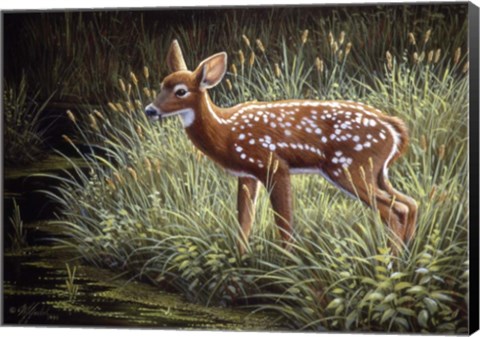 Framed In The Tall Grass Print