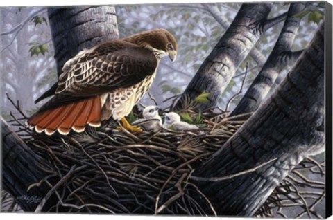 Framed In The Nest Print