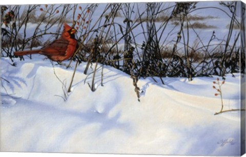 Framed Winter Cardinal Print