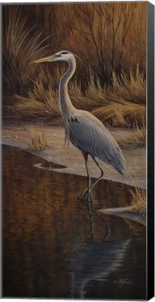 Framed Heron Wading Print