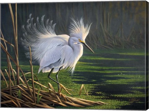 Framed White Splendor Print