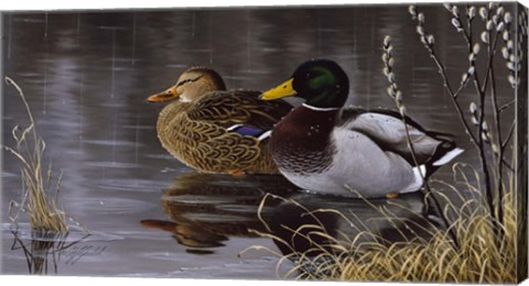 Framed Spring Morning Print