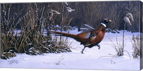 Framed Heading For Cover Print