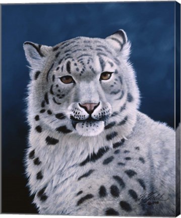 Framed Young Snow Leopard Print