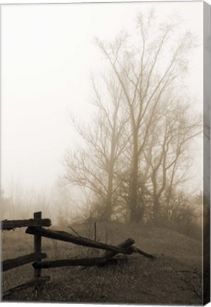 Framed Early Morning I Print