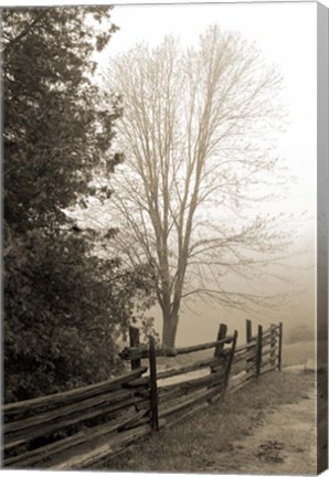 Framed Early Morning II Print