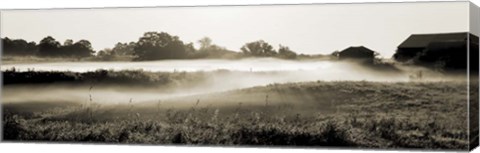 Framed Fog in the Hills Print