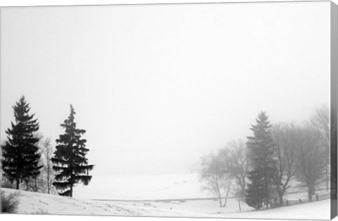 Framed Contrast Print