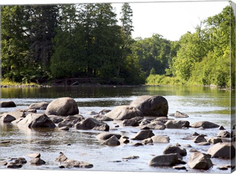Framed Chippewa Summer II Print