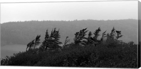 Framed View from the Cape II Print