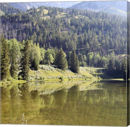 Framed Reflections I Print