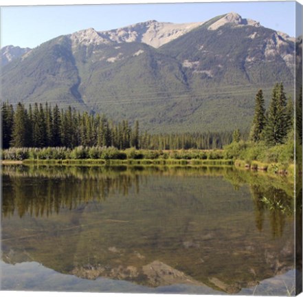 Framed Reflections II Print
