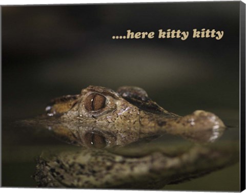 Framed Here Kitty Gator Print