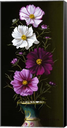 Framed Four Cosmos Print