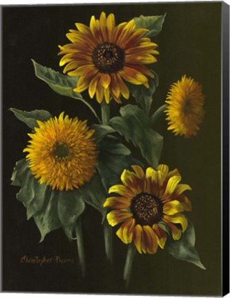Framed Four Sunflowers Print