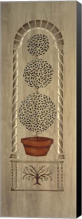 Framed 34 Topiary 3 Print