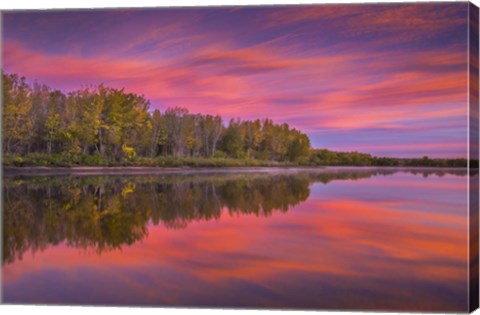 Framed Autumn Splendor Print