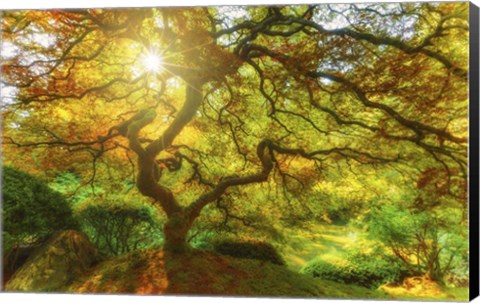 Framed Good Morning Sunshine Print