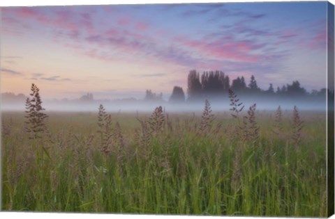 Framed Battle Ground Sunrise Print