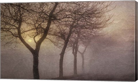 Framed Early Morning Print