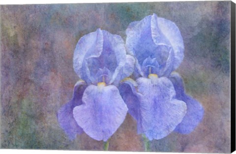 Framed Iris Blue Rhythm Print