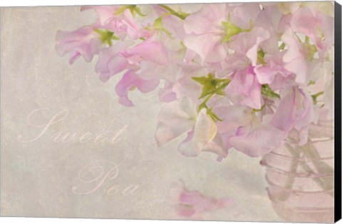 Framed Sweet Pea Print