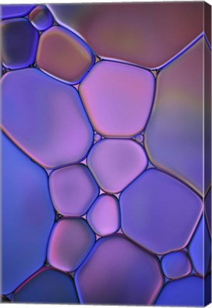 Framed Purple Stained Glass Print