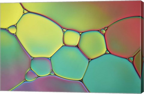 Framed Stained Glass I Print