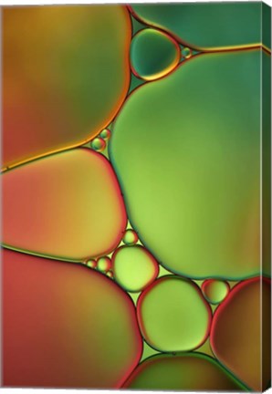 Framed Stained Glass II Print