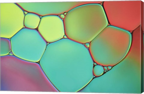 Framed Stained Glass III Print