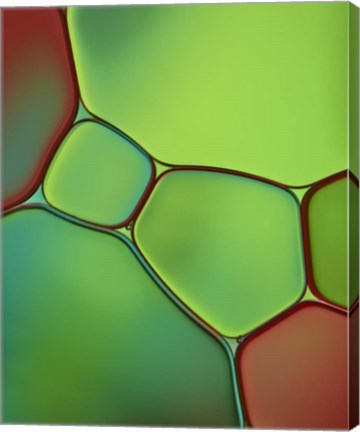 Framed Stained Glass IV Print