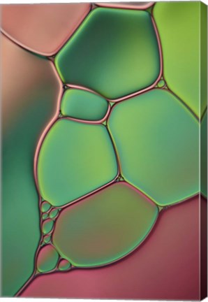 Framed Stained Glass V Print