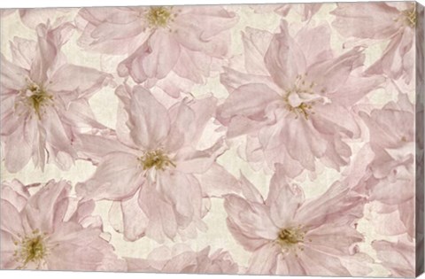 Framed Vintage Blossom Print