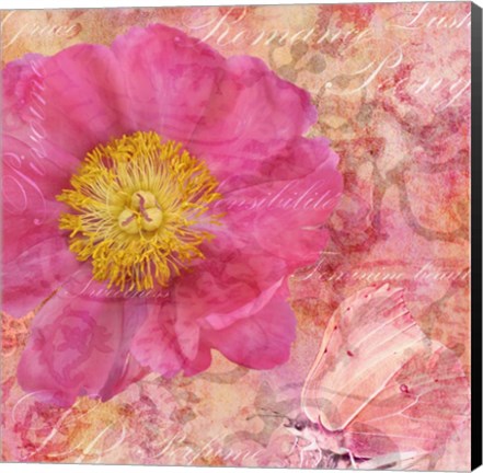 Framed Peony - Feminine Beauty Print