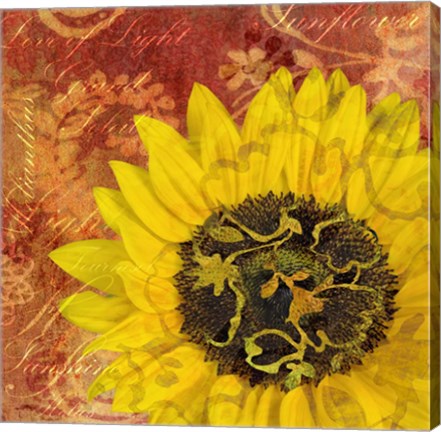 Framed Sunflower - Love of Light Print