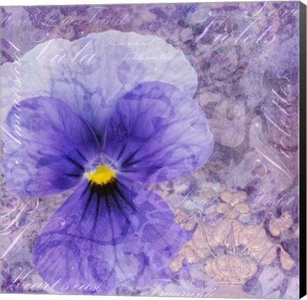 Framed Viola - Secret Love Print