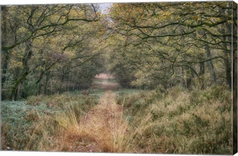 Framed Autumn Walk Print