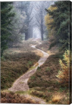 Framed Hiking Trail Print