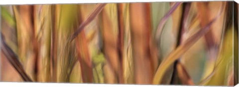 Framed Autumn Grass Scape Print